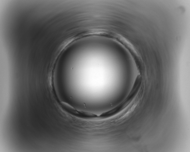 X0000099991177200805231446