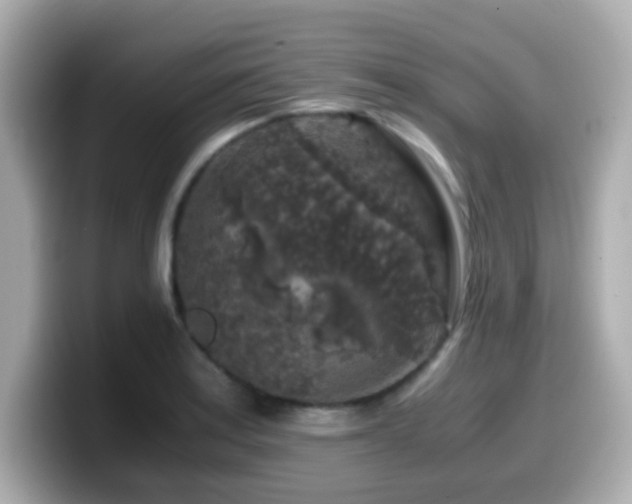 X0000099991179200805231446