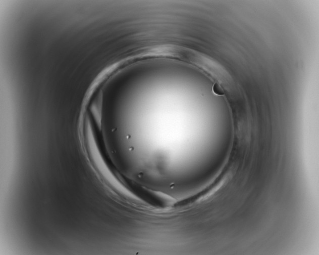 X0000099991180200805231446