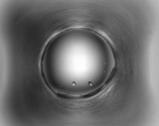 X0000099991181200805231446