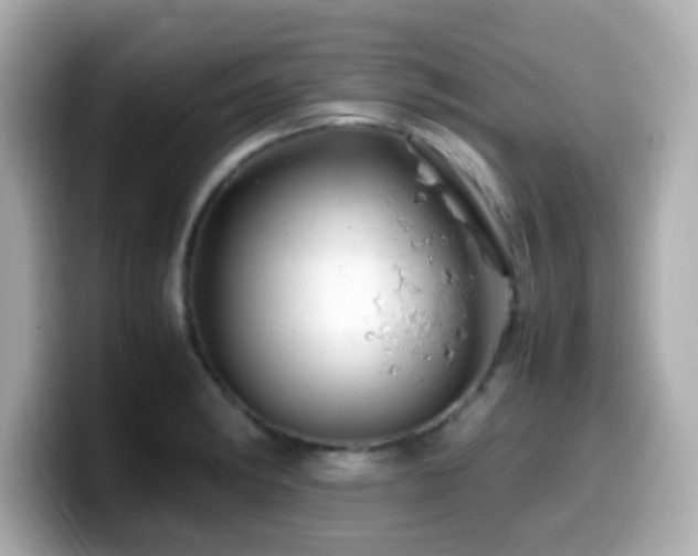 X0000099991182200805231446