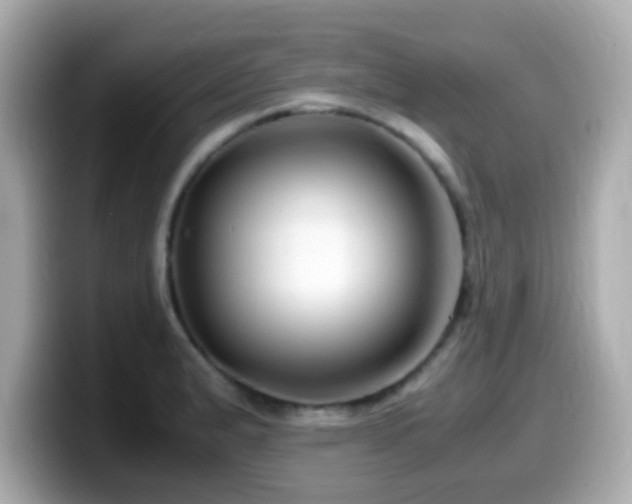 X0000099991183200805231446