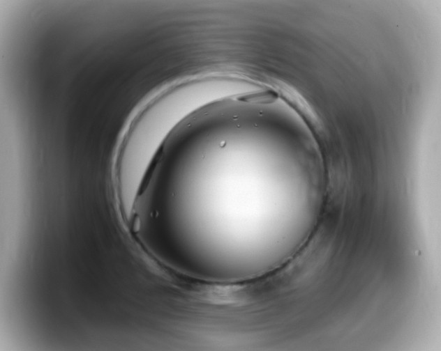 X0000099991184200805231446