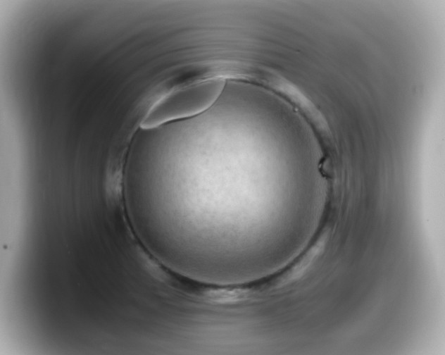 X0000099991185200805231446