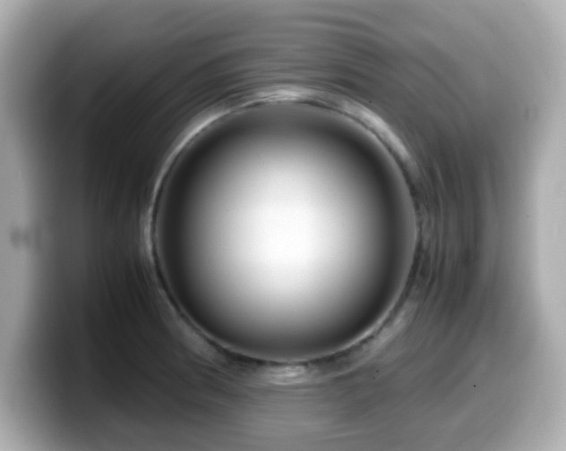 X0000099991186200805231446