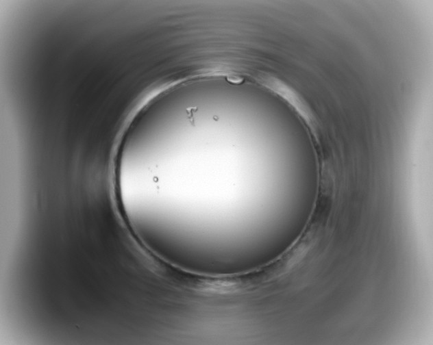 X0000099991187200805231446