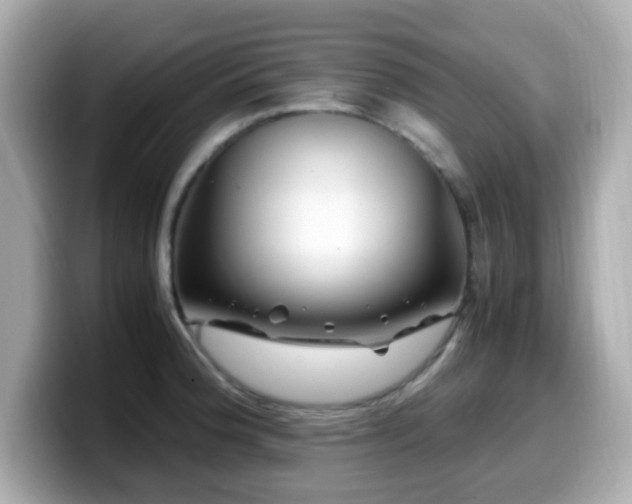X0000099991188200805231446