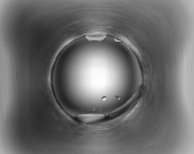 X0000099991189200805231446