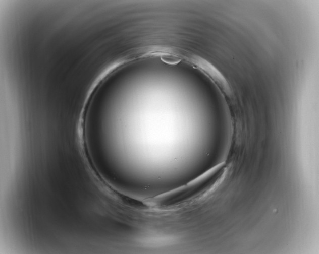 X0000099991190200805231446
