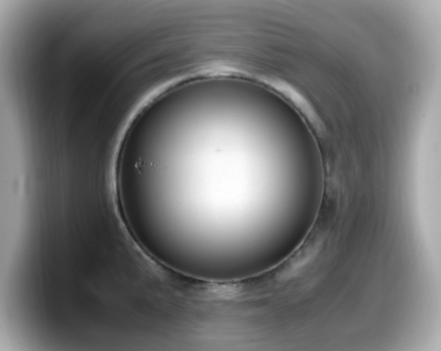 X0000099991191200805231446