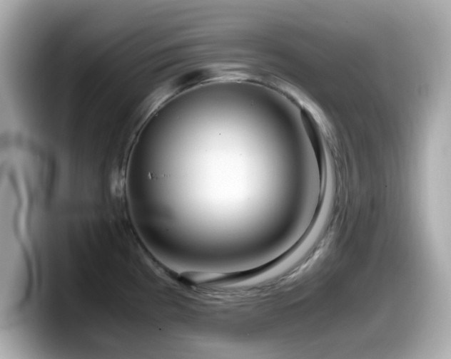 X0000099991193200805231446