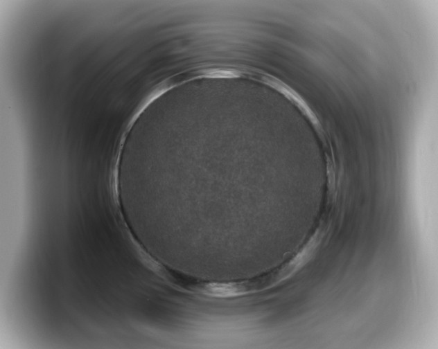 X0000099991194200805231446
