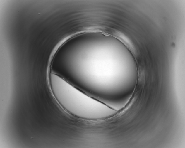X0000099991196200805231446