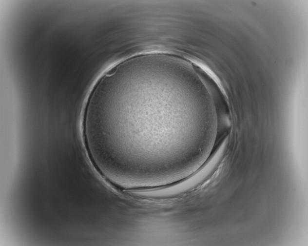 X0000099991197200805231446