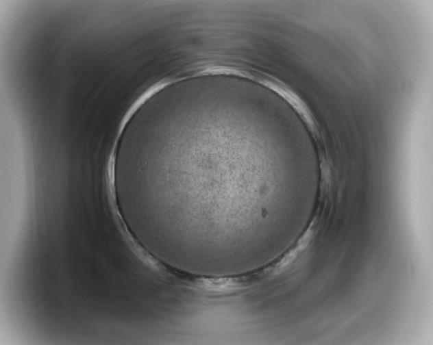 X0000099991198200805231446
