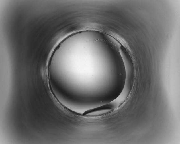 X0000099991200200805231446