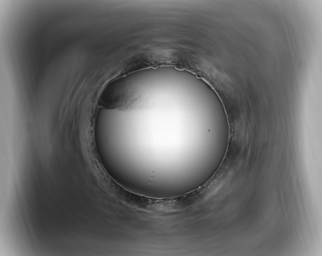 X0000099991201200805231445
