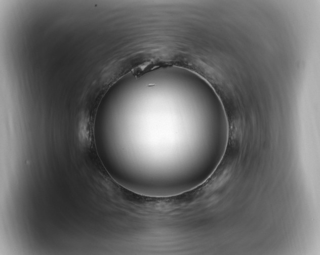 X0000099991202200805231445