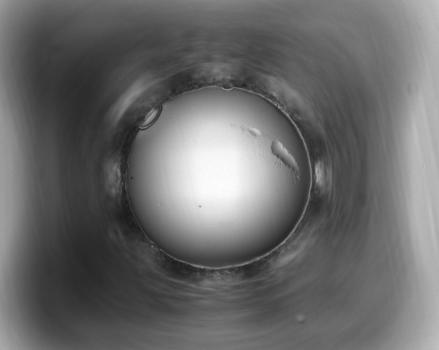 X0000099991203200805231445