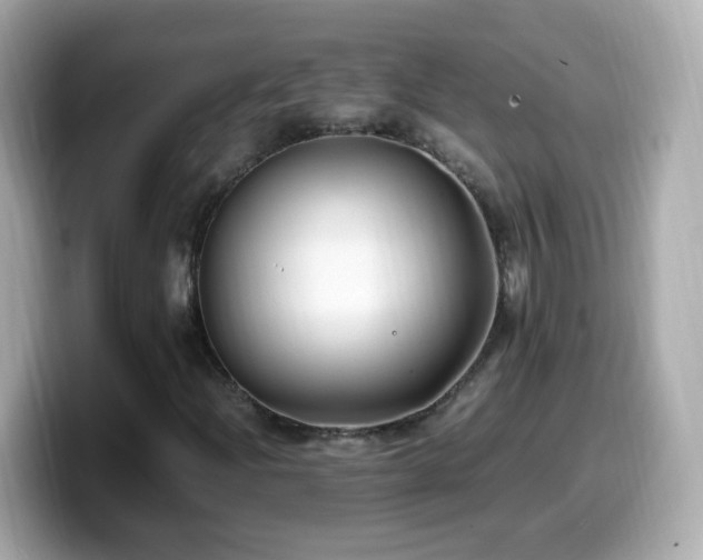 X0000099991204200805231445