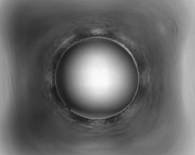 X0000099991205200805231445