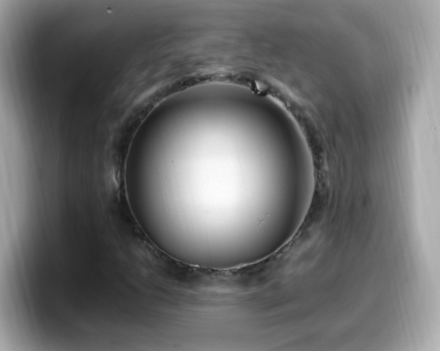 X0000099991206200805231445