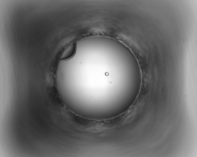 X0000099991207200805231445