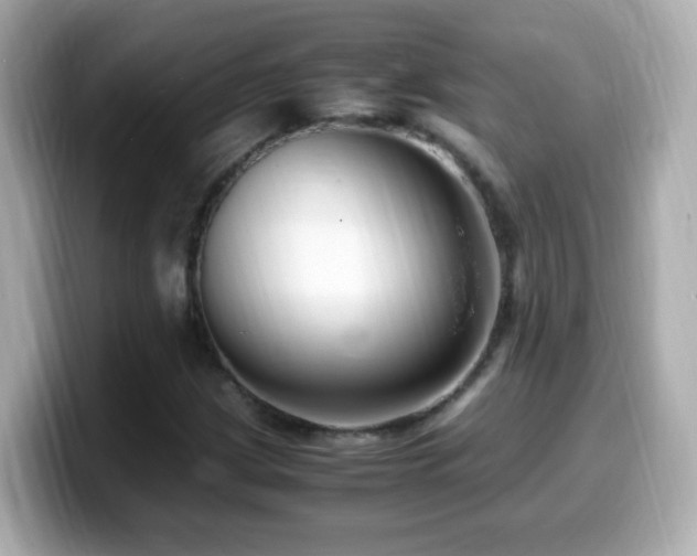 X0000099991209200805231445