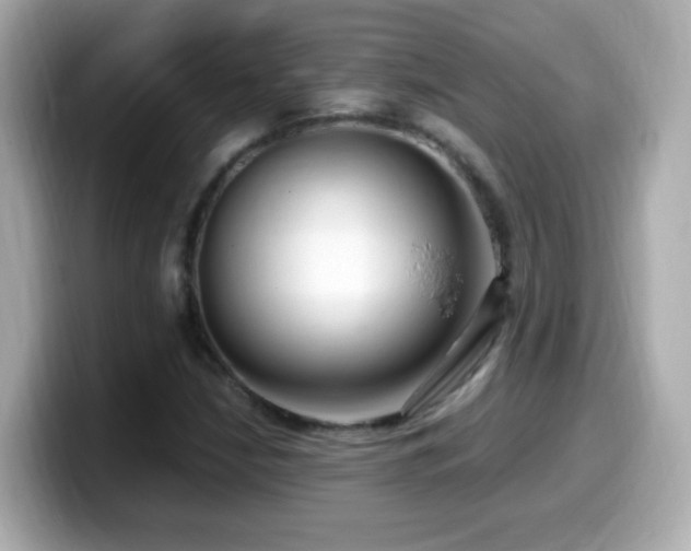 X0000099991210200805231445