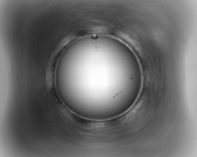 X0000099991211200805231445