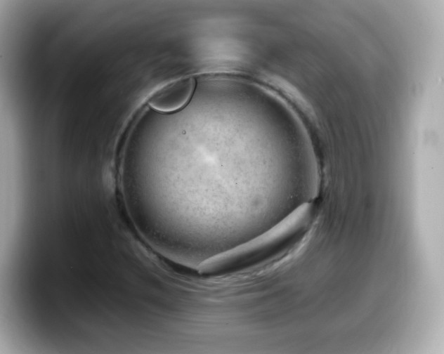 X0000099991212200805231446