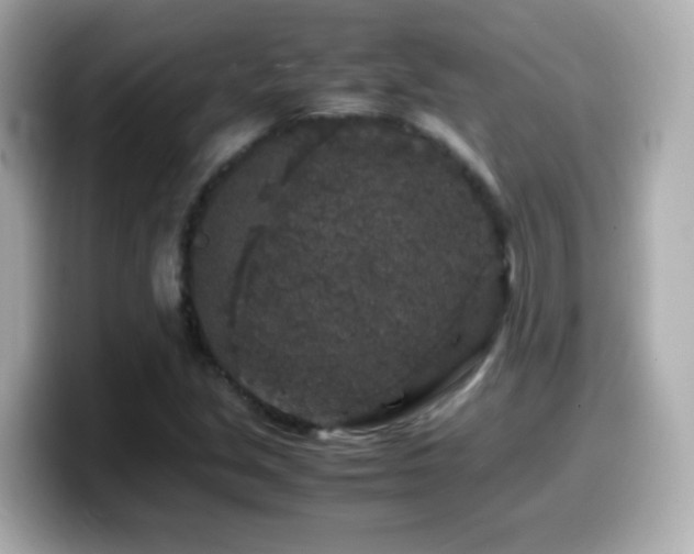 X0000099991213200805231446