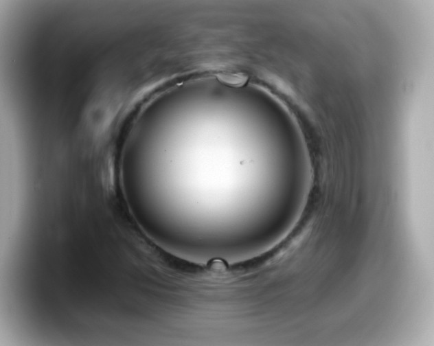 X0000099991214200805231446