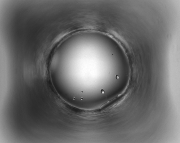 X0000099991215200805231446