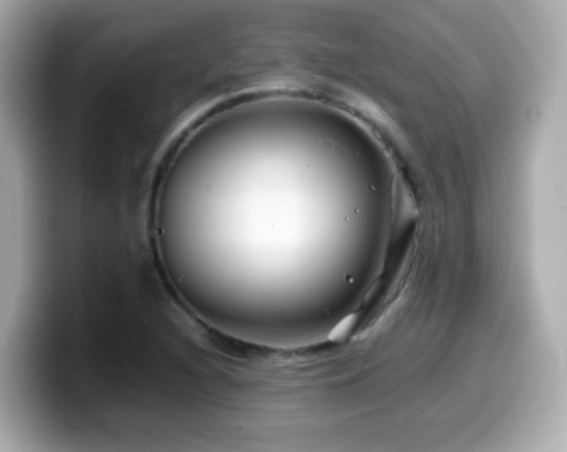 X0000099991216200805231446