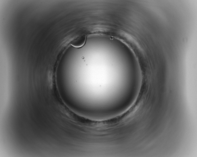 X0000099991217200805231446