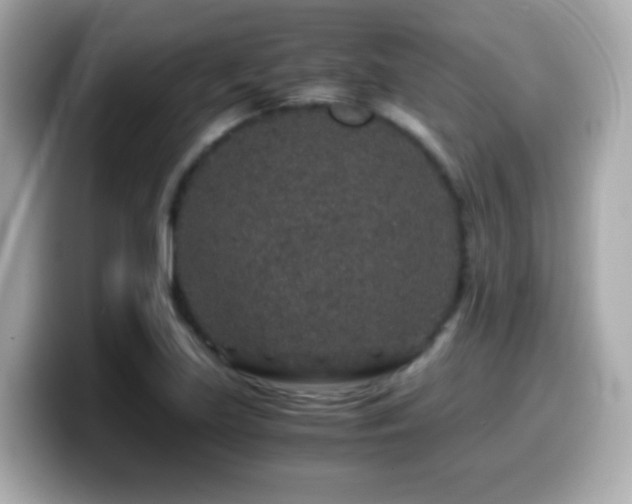 X0000099991219200805231446