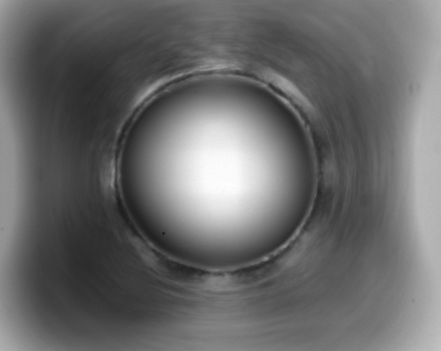 X0000099991220200805231446