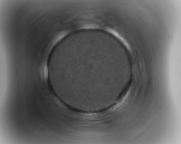 X0000099991221200805231446