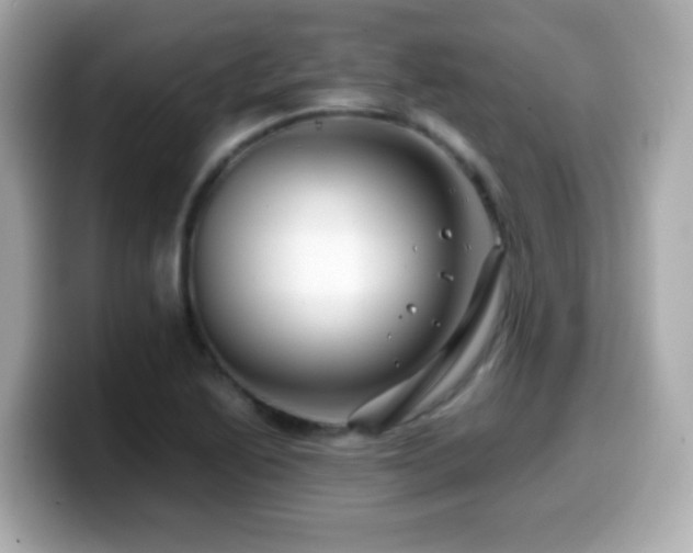 X0000099991222200805231446