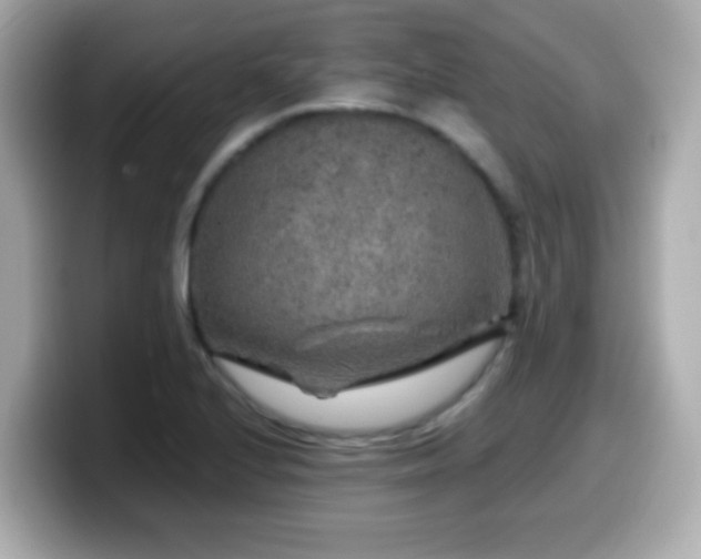 X0000099991224200805231446