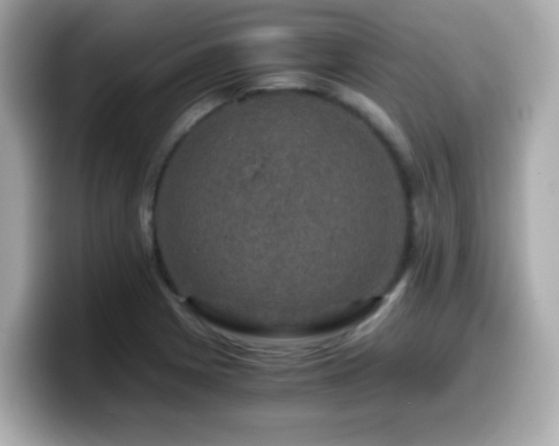 X0000099991225200805231446