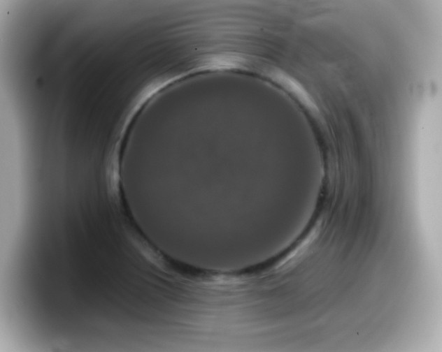 X0000099991226200805231446