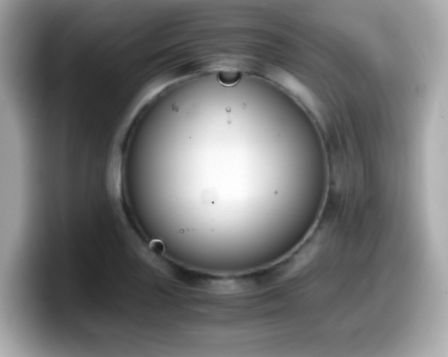 X0000099991227200805231446