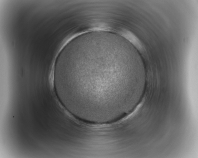 X0000099991228200805231446