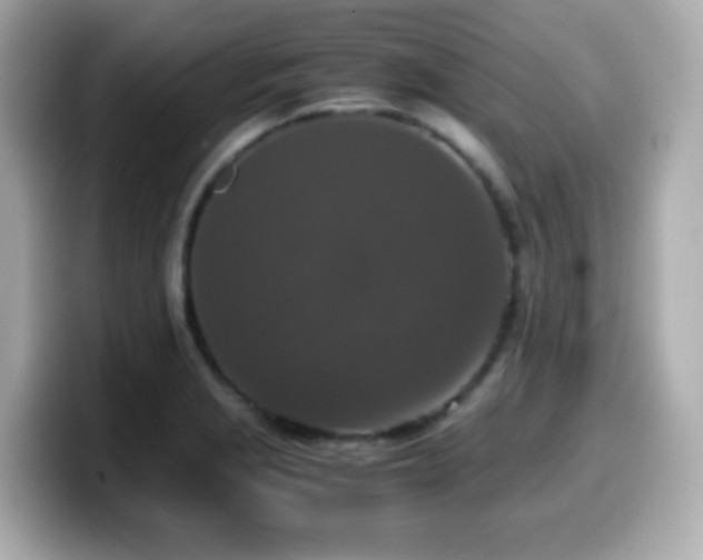 X0000099991229200805231446