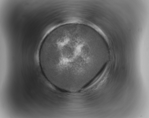 X0000099991230200805231446