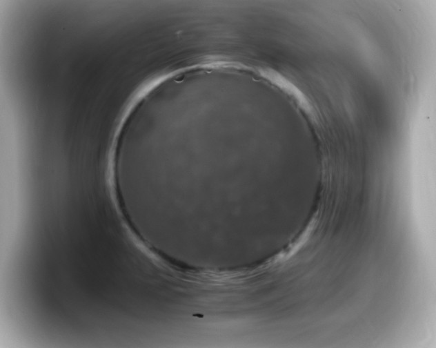 X0000099991231200805231446