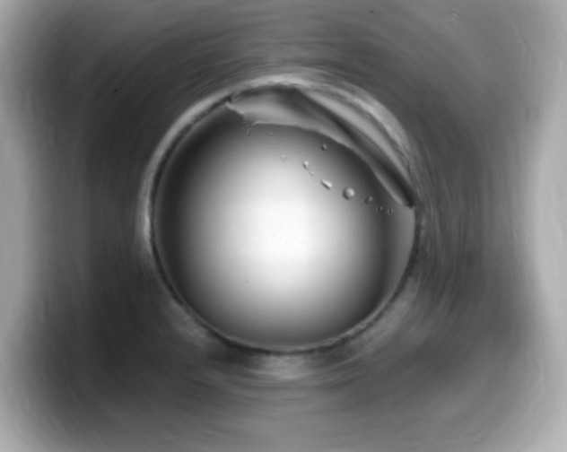 X0000099991232200805231446