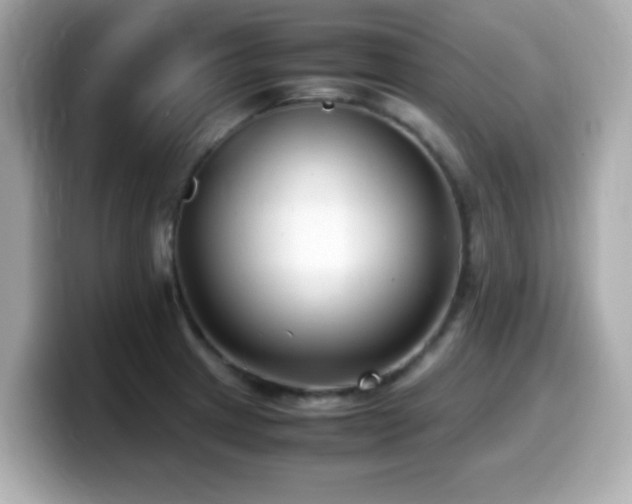 X0000099991233200805231446